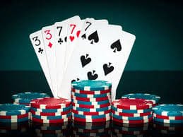 3377 bet