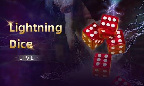 3377 bet
